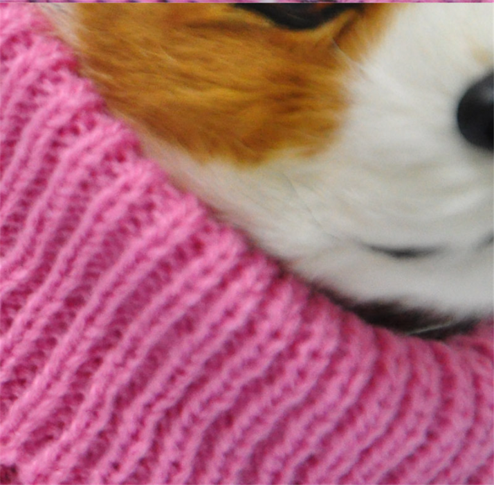Haustierkleidung Kleidung Hundepullover
